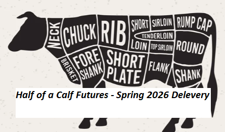 Half Calf Futures - Spring 2026 Delivery