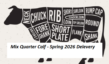 Quarter Mix Futures - Spring 2026 Delevery